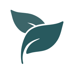 Grafik von zwei Blättern als Symbol für die Naturbestattung