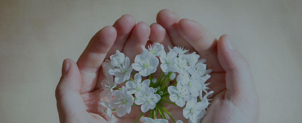 Ein Trauernder hält Kirschblüten in den Händen