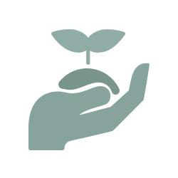 Grafik von einer Hand die einen jungen Baum in Erde hält als Symbol für die Tree of Life Bestattung