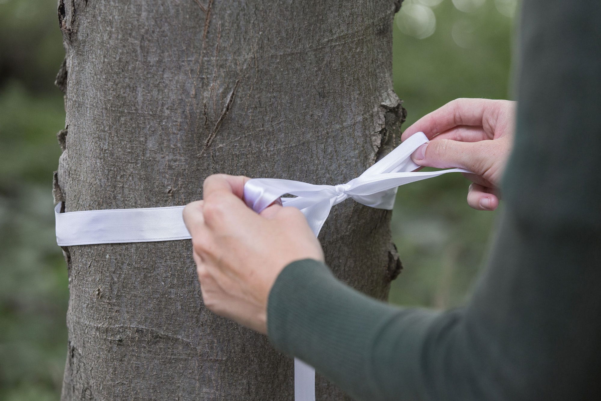 Ein Angehöriger bindet eine Schleife an einen Bestattungsbaum