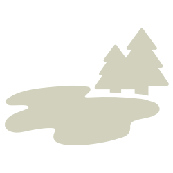 Grafik von einem See und zwei Bäumen als Symbol für die Seebestattung