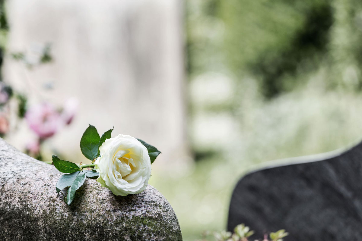 Eine weiße Rose auf einem Grabstein